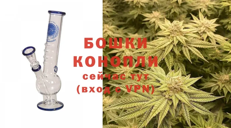 hydra онион  где найти   Шилка  Бошки марихуана White Widow 